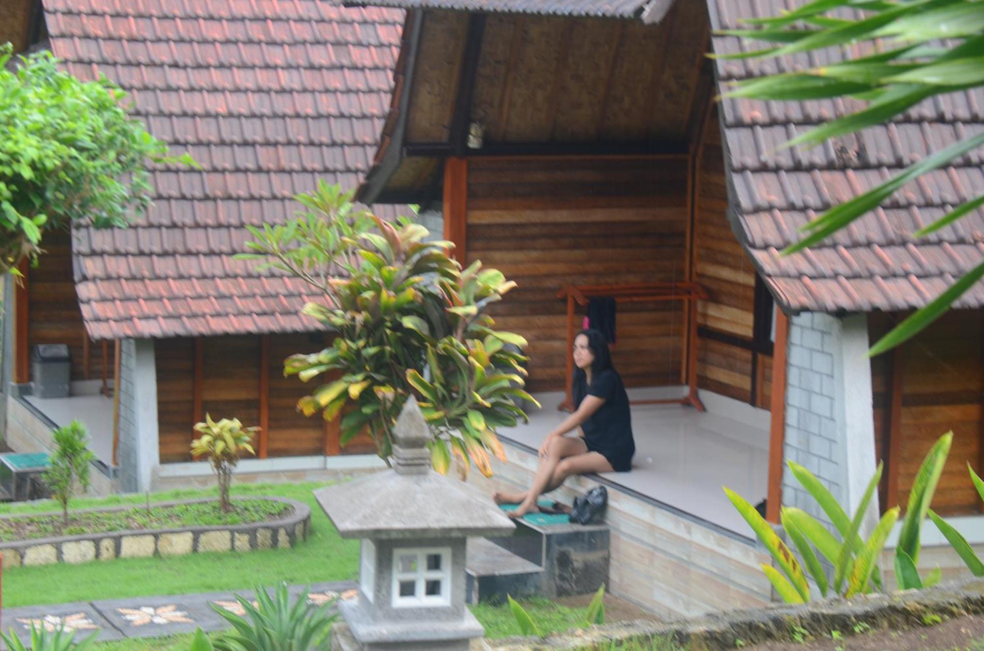 Mamaras Guest House Sakti Exterior photo